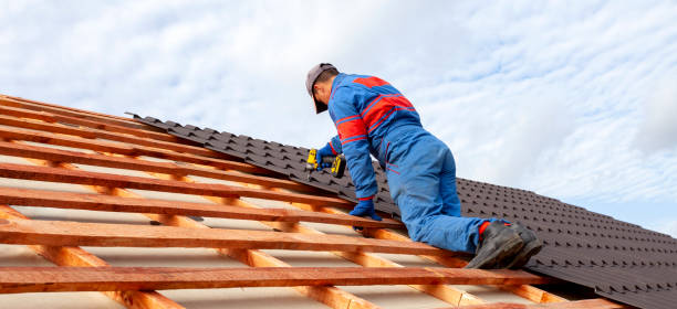 Best Roof Ventilation Installation  in Dysart, IA